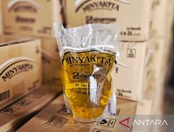 Bulog Natuna tambah stok minyak goreng 9.600 liter jaga harga stabil