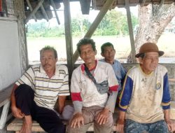 Pemkab Lebak dampingi petani lokal pasok sayuran untuk dapur MBG