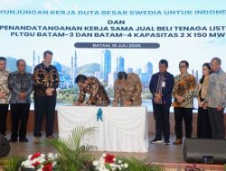Batam tambah pasokan listrik 300 MW dukung pertumbuhan investasi