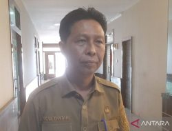 PUPP Kepri: 90 persen paket proyek fisik selesai dilelang