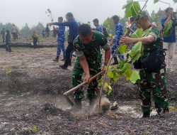 Lahan Tidur di Batubi Mulai Dihijaukan, Kodim Natuna Tanam 3.000 Pohon Kemiri