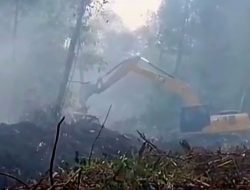 Pemkab Lingga Kepri kerahkan tiga alat berat guna tangani karhutla