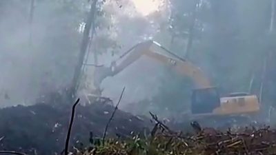 Pemkab Lingga Kepri kerahkan tiga alat berat guna tangani karhutla