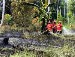 Pemkab Natuna padamkan kebakaran lahan seluas 45 hektare