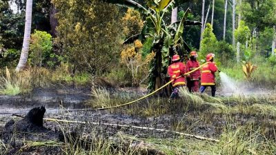 Pemkab Natuna padamkan kebakaran lahan seluas 45 hektare