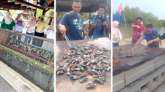 Menikmati Muo Fried Kupang di Sungai Balang, Muar. Kupang segar langsung dari laut, digoreng crispy dan dibakar dalam cangkang, lalu dicocol sambal kecap.