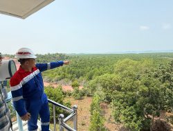 Waspada! Aktivitas Alat Berat di Atas Pipa Gas Panaran Ancam Pasokan Listrik Batam-Singapura
