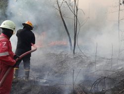 Lahan 2 Hektare di Seri Kuala Lobam Terbakar, Tim Gabungan Bergerak Cepat Padamkan Api
