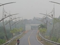 Dinkes Kepri imbau warga waspadai dampak kabut asap terhadap kesehatan
