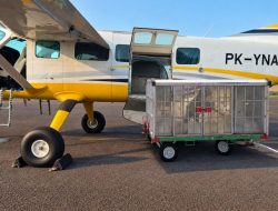 BP Batam modifikasi cuaca tingkatkan potensi turun hujan