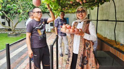 Ceria Panen Markisa di Pekarangan Rumah, Sekda Misni Kagumi Ketekunan Ady Indra Pawennari
