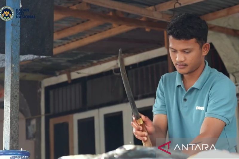 Program Makan Bergizi Gratis (MBG) membuka pasar baru bagi nelayan dan pedagang ikan di Sabang, Aceh. Permintaan yang lebih pasti membantu menjaga pendapatan dan harga jual ikan.